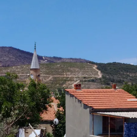 Safran Yenifoca